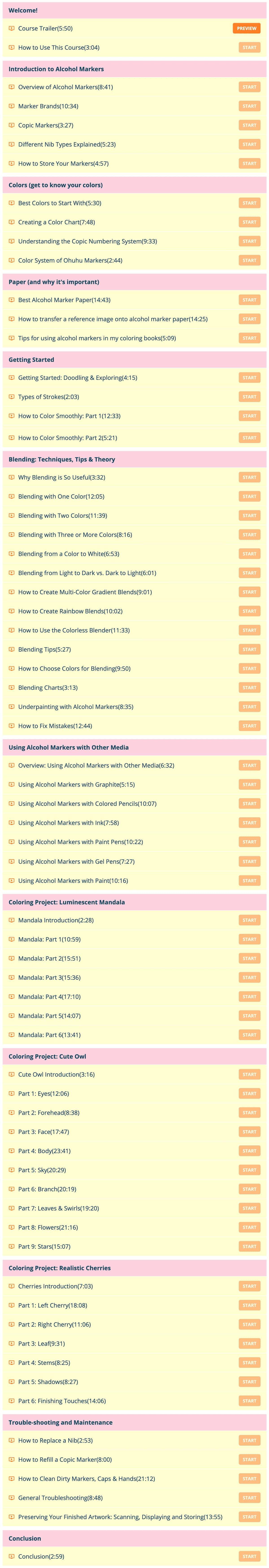 Course Curriculum for Thaneeya McArdle's Ultimate Guide to Using Alcohol Markers